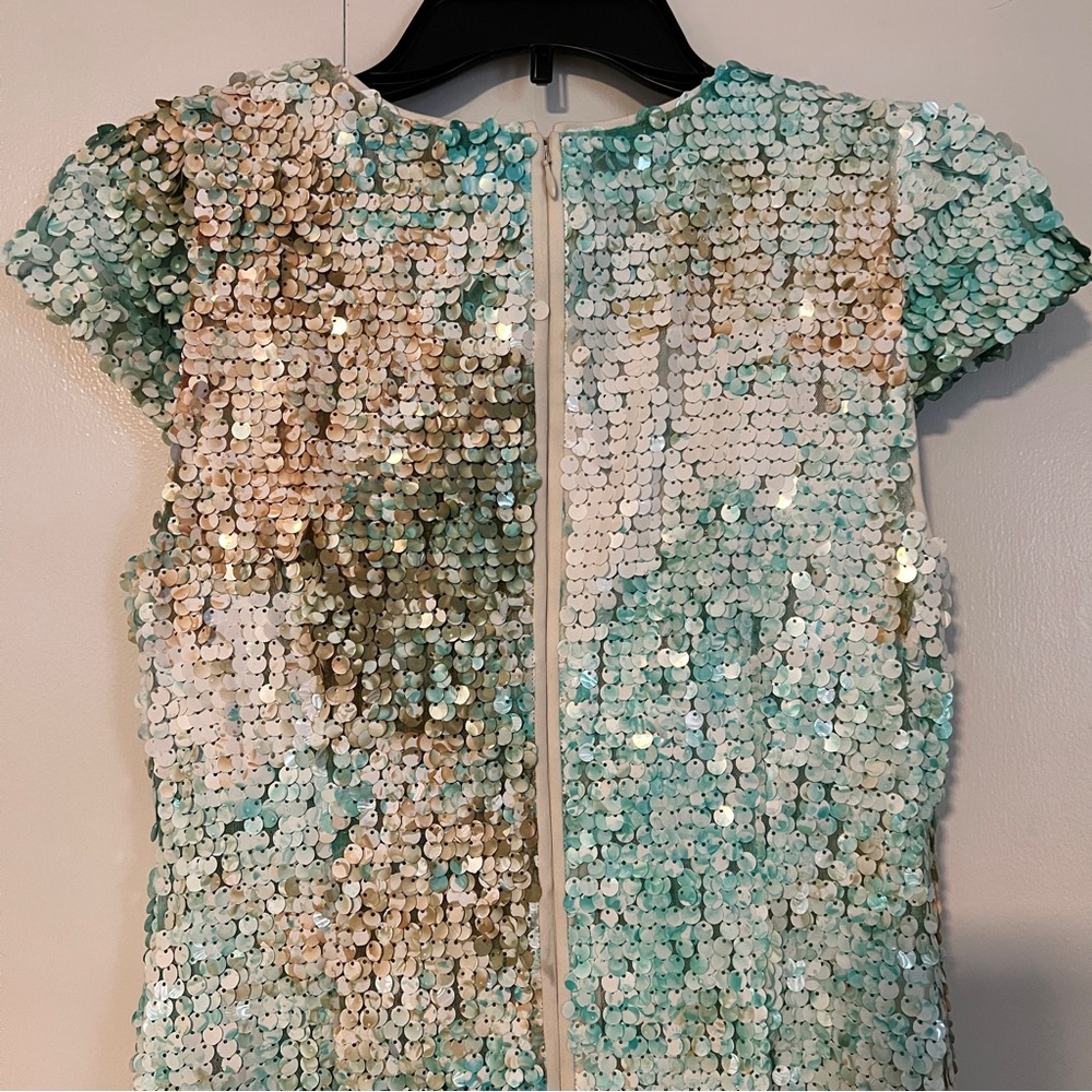 Sequin Cap-sleeve fitted Dress - Picture 3 of 14